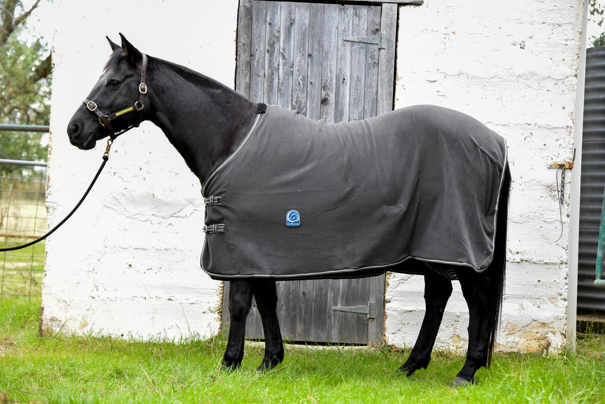 Winter Horse Rugs Page 2 Aussie Grazers