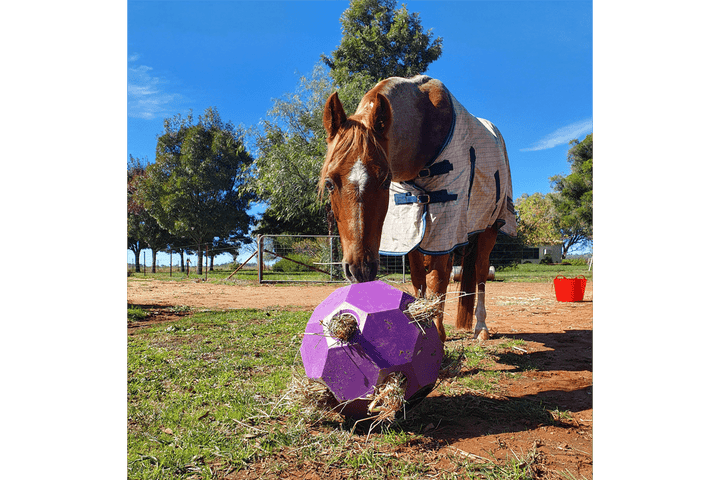 Parallax Hay Play Ball Horse Slow Feeding Hay Play Balls