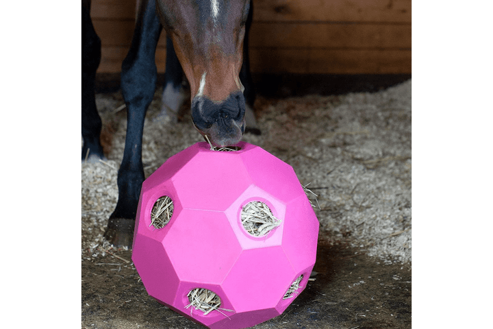 Parallax Hay Play Ball Pink Horse Slow Feeding Hay Play Balls