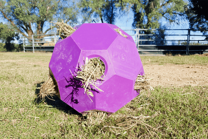 Parallax Hay Play Ball Purple Horse Slow Feeding Hay Play Balls