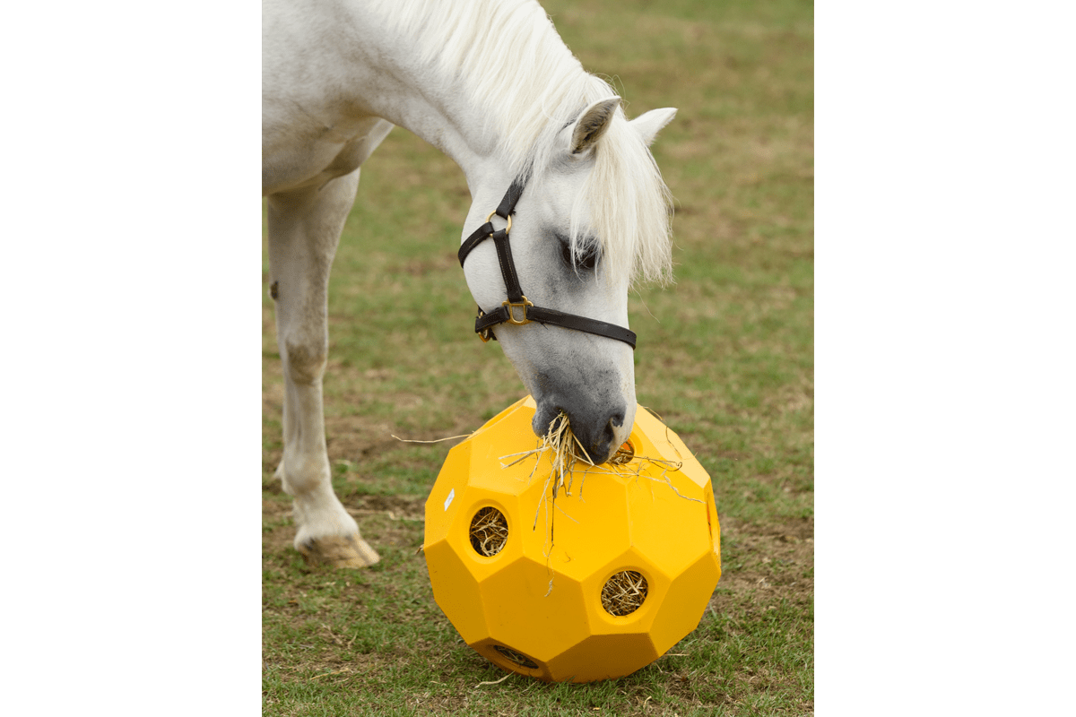 Horse Slow Feeding Hay Play Balls Yellow