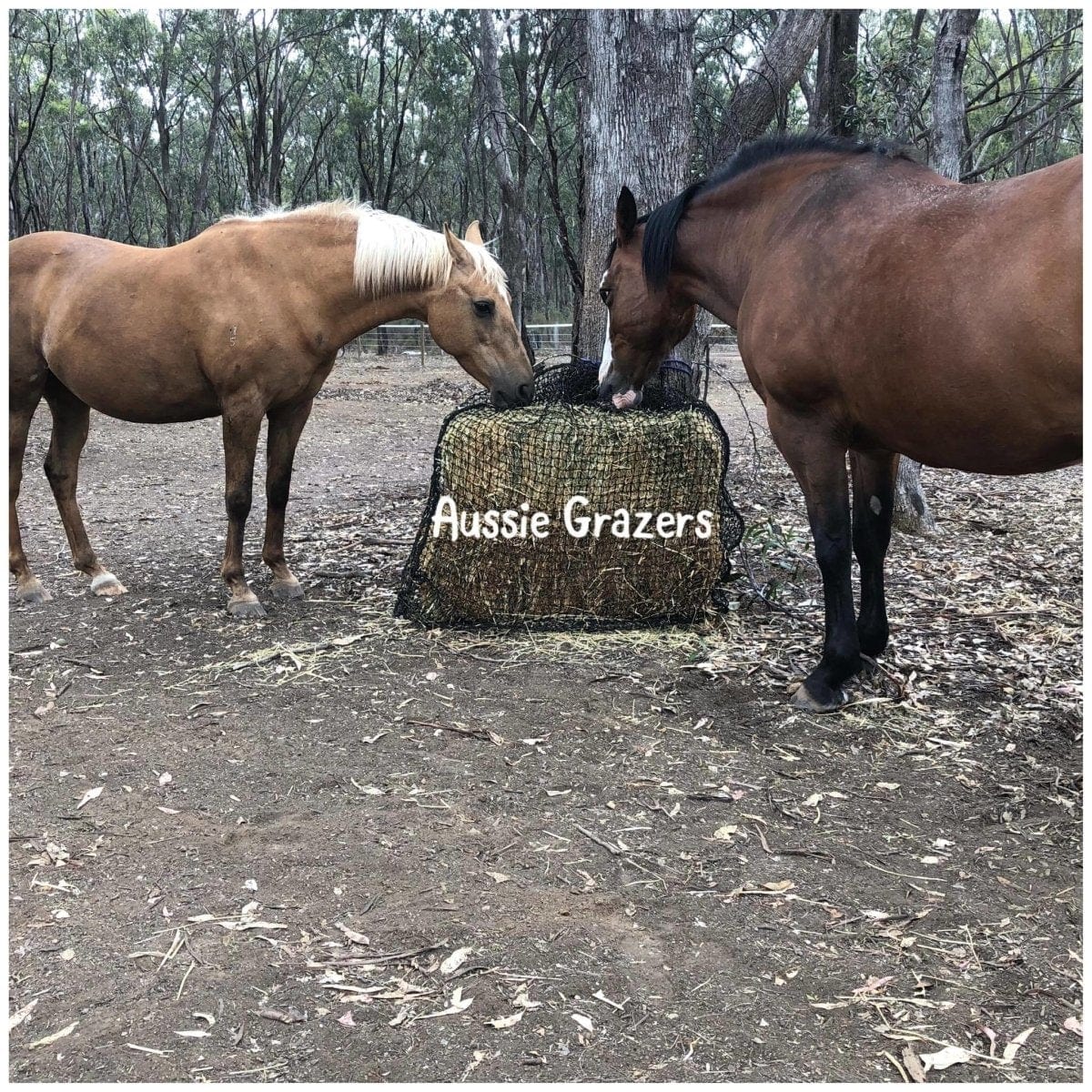Extra Large Aussie Grazers Slow Feed Hay Nets