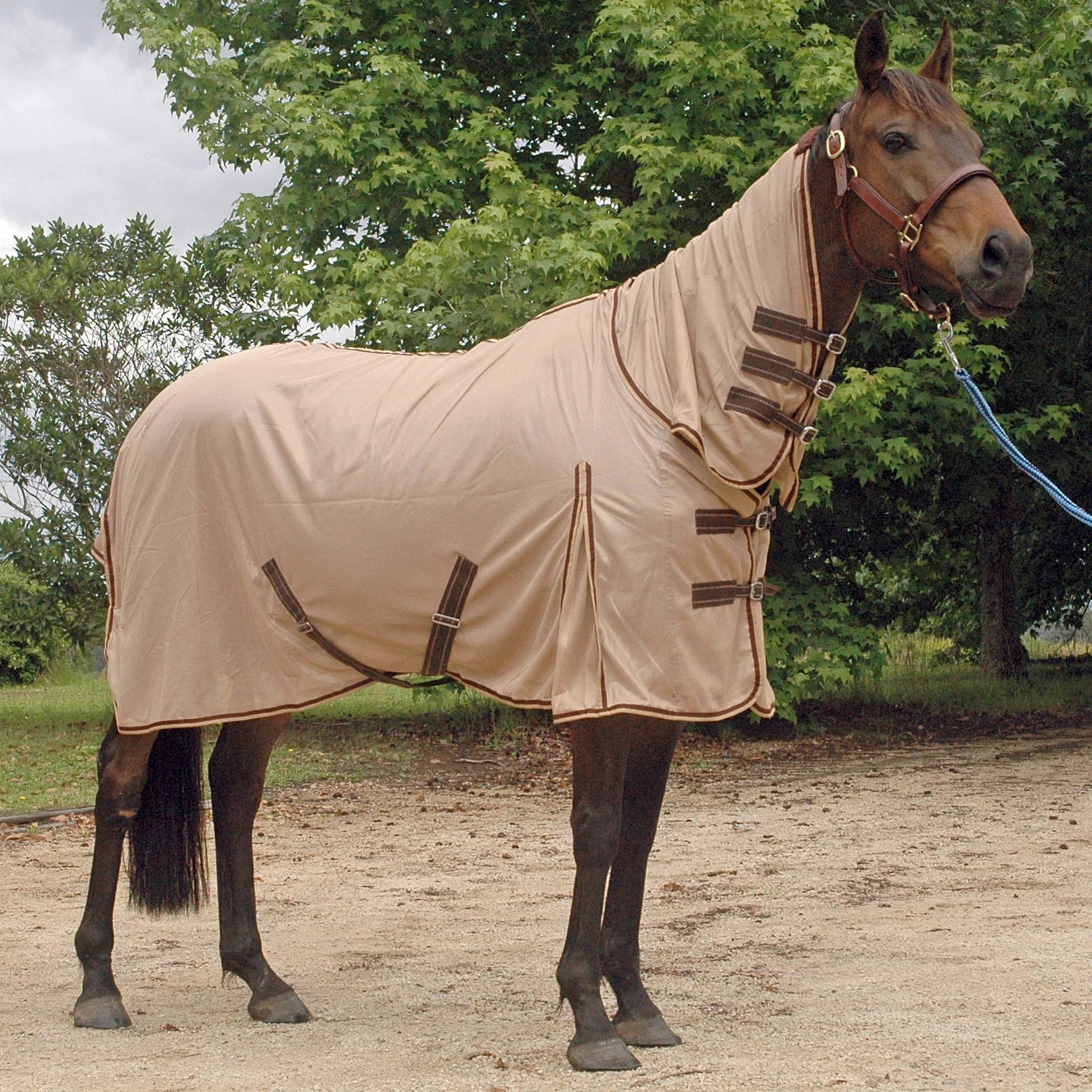 Mesh Horse Rugs – Aussie Grazers