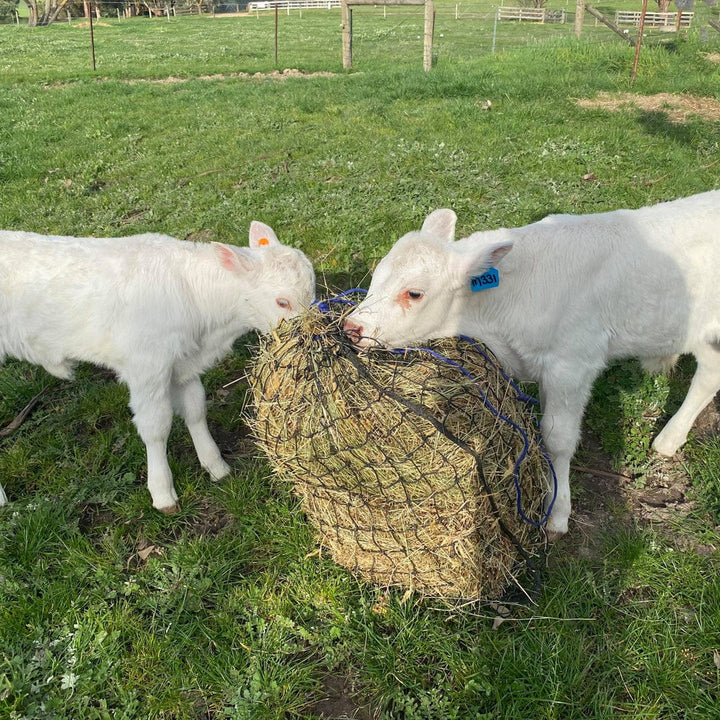 Aussie Grazers Hay Nets 3cm / No Clip Large Original Knotted Horse Slow Feed Hay Net