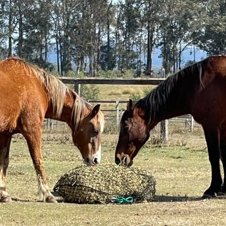 Aussie Grazers Hay Nets 4cm / No Clip Large Original Knotted Horse Slow Feed Hay Net