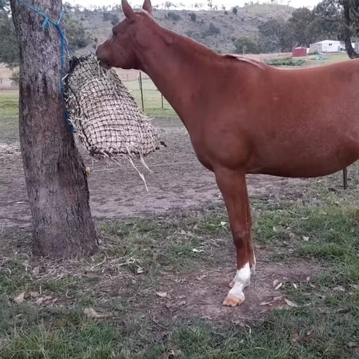 Aussie Grazers Hay Nets Medium Original Knotted Horse Slow Feed Hay Net