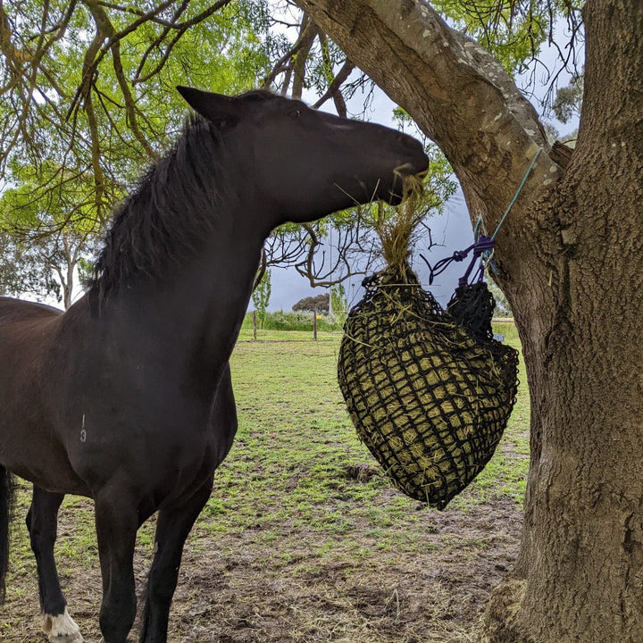 Aussie Grazers Knotless Hay Nets 2cm / No Clip Deluxe Knotless Medium Horse Slow Feed Hay Net