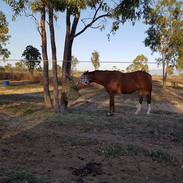 Aussie Grazers Knotless Hay Nets 4cm / No Clip Deluxe Knotless Extra Small Horse Slow Feed Hay Net