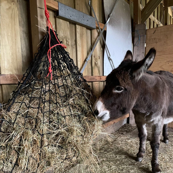 Aussie Grazers Knotless Hay Nets 6cm / No Clip Deluxe Knotless Large Horse Slow Feed Hay Net