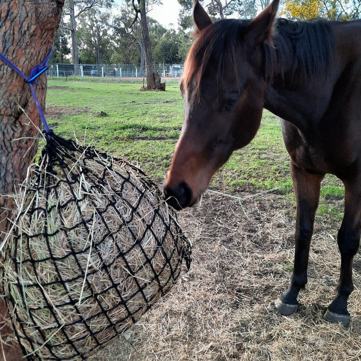 Aussie Grazers Knotless Hay Nets 6cm / No Clip Deluxe Knotless Medium Horse Slow Feed Hay Net