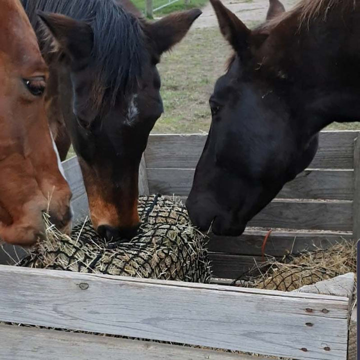 Aussie Grazers Knotless Hay Nets Deluxe Knotless Extra Large Horse Slow Feed Hay Net