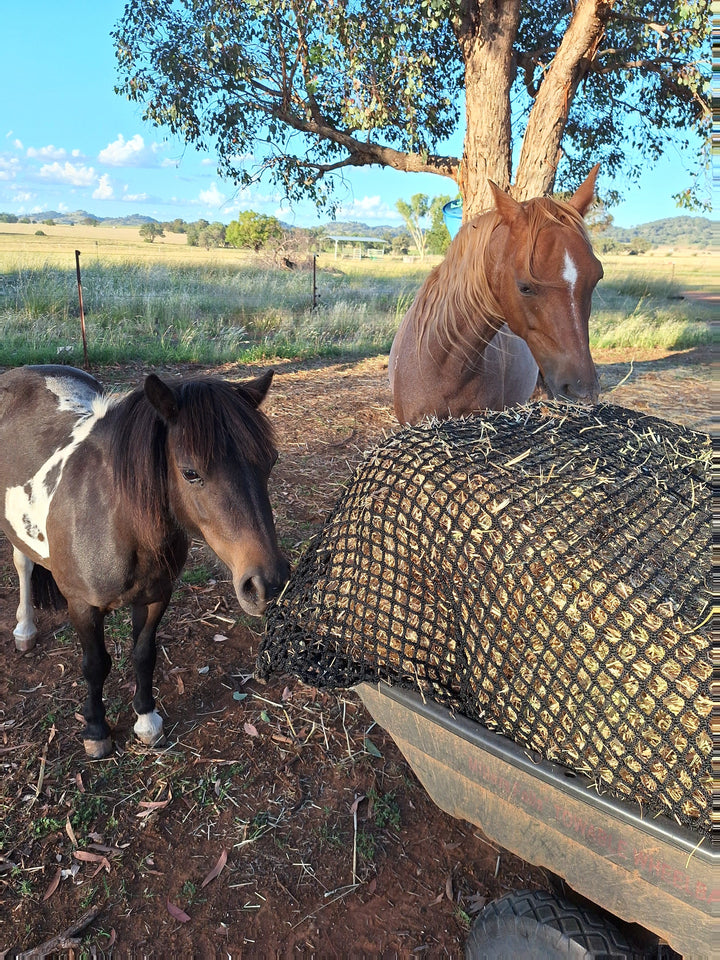 Deluxe Knotless Extra Large Horse Slow Feed Hay Net – Aussie Grazers