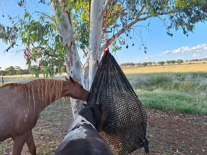 Deluxe Knotless Extra Large Horse Slow Feed Hay Net – Aussie Grazers