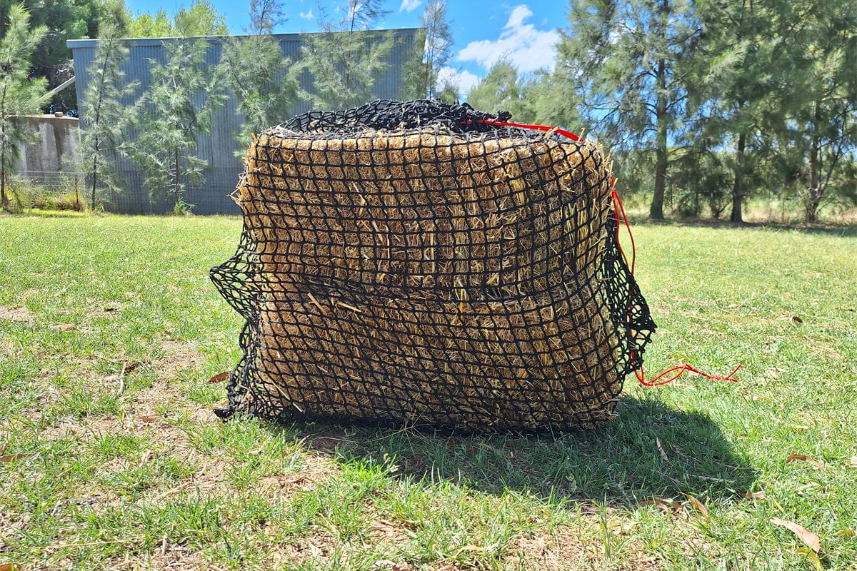 Deluxe Knotless Extra Large Horse Slow Feed Hay Net – Aussie Grazers
