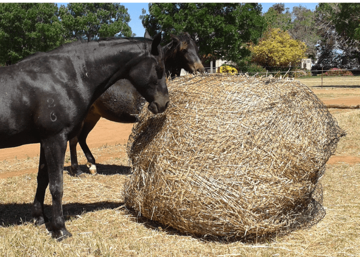 Aussie Grazers Round Bale Nets 6cm Original Knotted 3x4 Round Bale Horse Slow Feed Hay Net