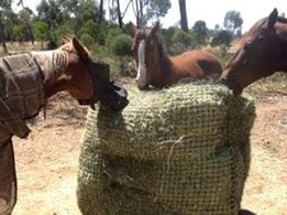 Aussie Grazers Round Bale Nets Original Knotted 3x4 Round Bale Horse Slow Feed Hay Net