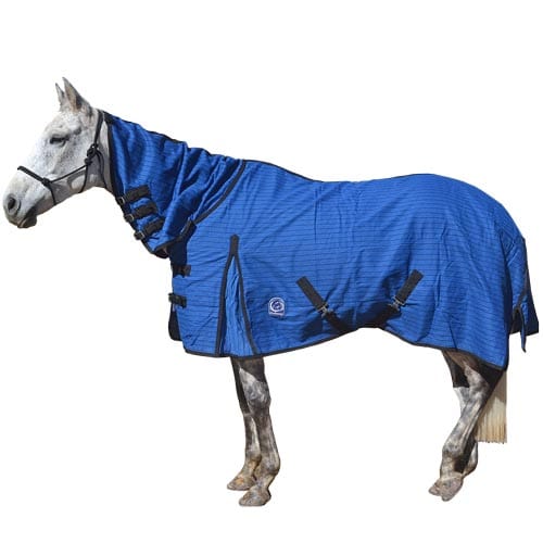 Go Horse Derby PC Canvas Combo Lined