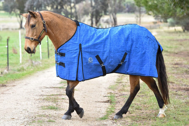 Go Horse Derby PC Canvas Rug Lined