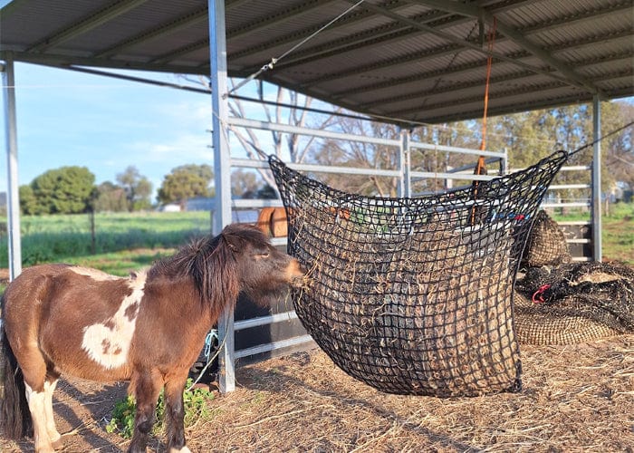 Hay-Stay Hanging Knotless Hay Net – Aussie Grazers
