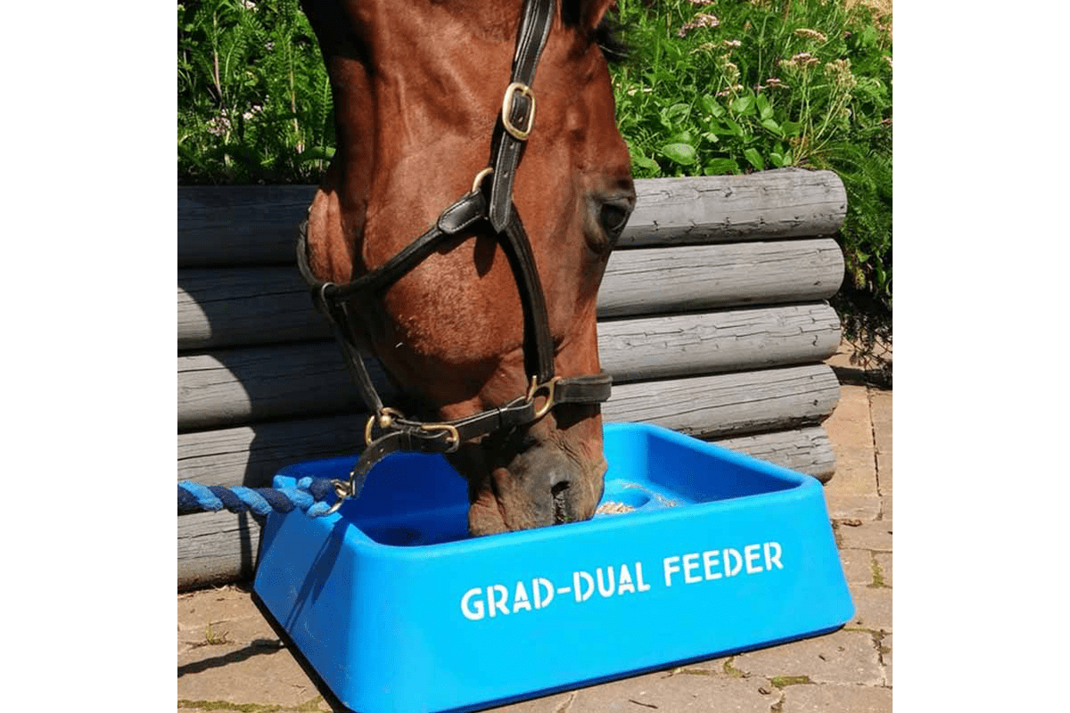 Horse Slow Feeding GradDual Feeder Aussie Grazers
