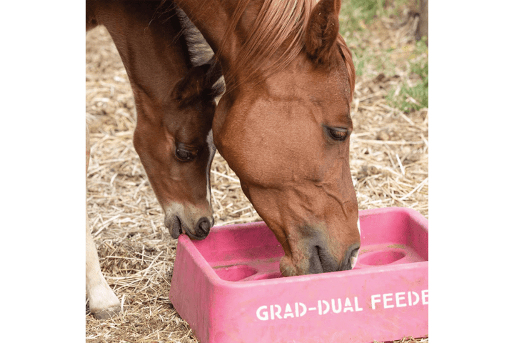 Parallax Grad Dual Feeder Horse Slow Feeding Grad-Dual Feeder