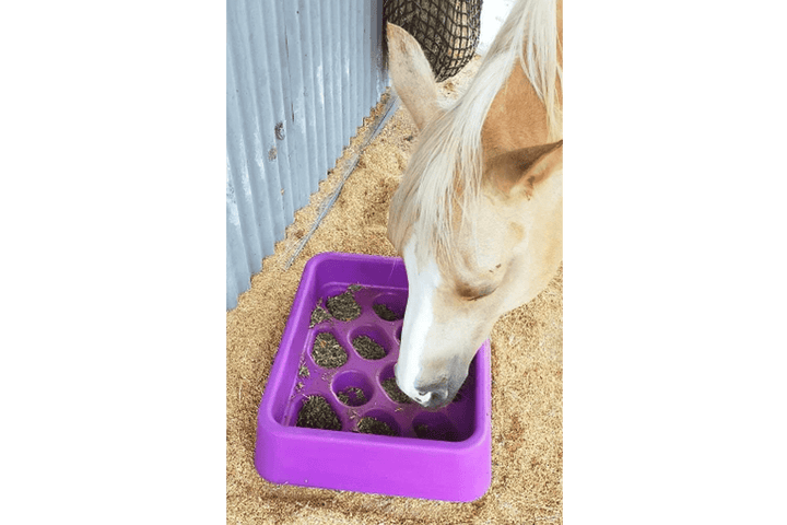 Parallax Grad Dual Feeder Horse Slow Feeding Grad-Dual Feeder