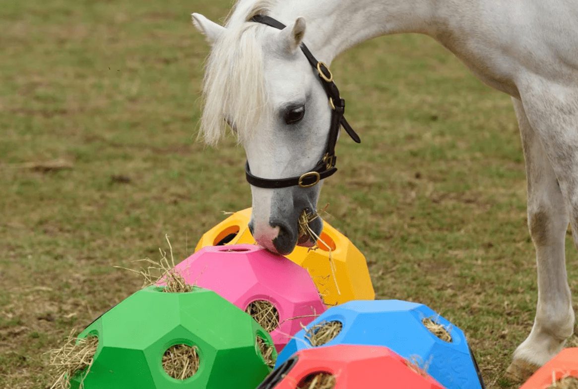 Horse Slow Feeding Hay Play Balls Aussie Grazers