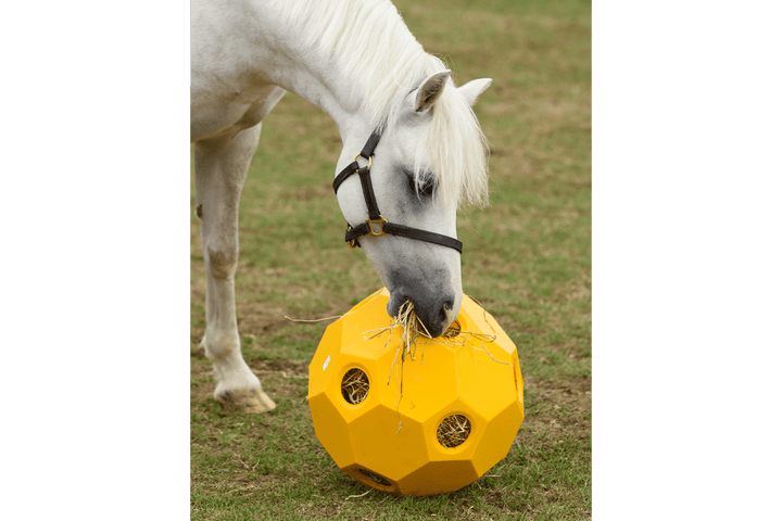 Parallax Hay Play Ball Yellow Horse Slow Feeding Hay Play Balls