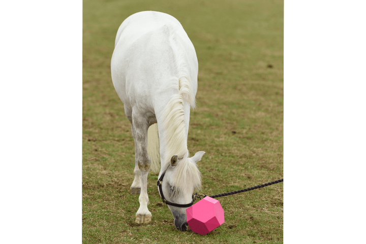 Parallax Snack & Play Treat Ball Horse Slow Feeding Snack & Play Treat Ball