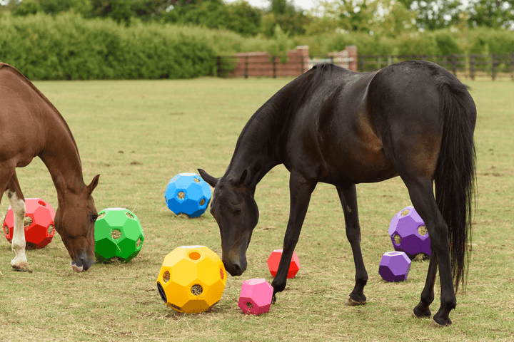 Parallax Snack & Play Treat Ball Horse Slow Feeding Snack & Play Treat Ball