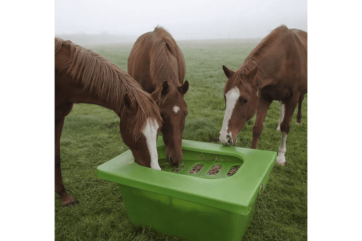Parallax The Hay-Saver - For Horse Slow Feeding