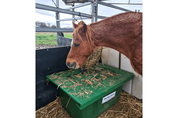 Parallax The Hay-Saver - For Horse Slow Feeding