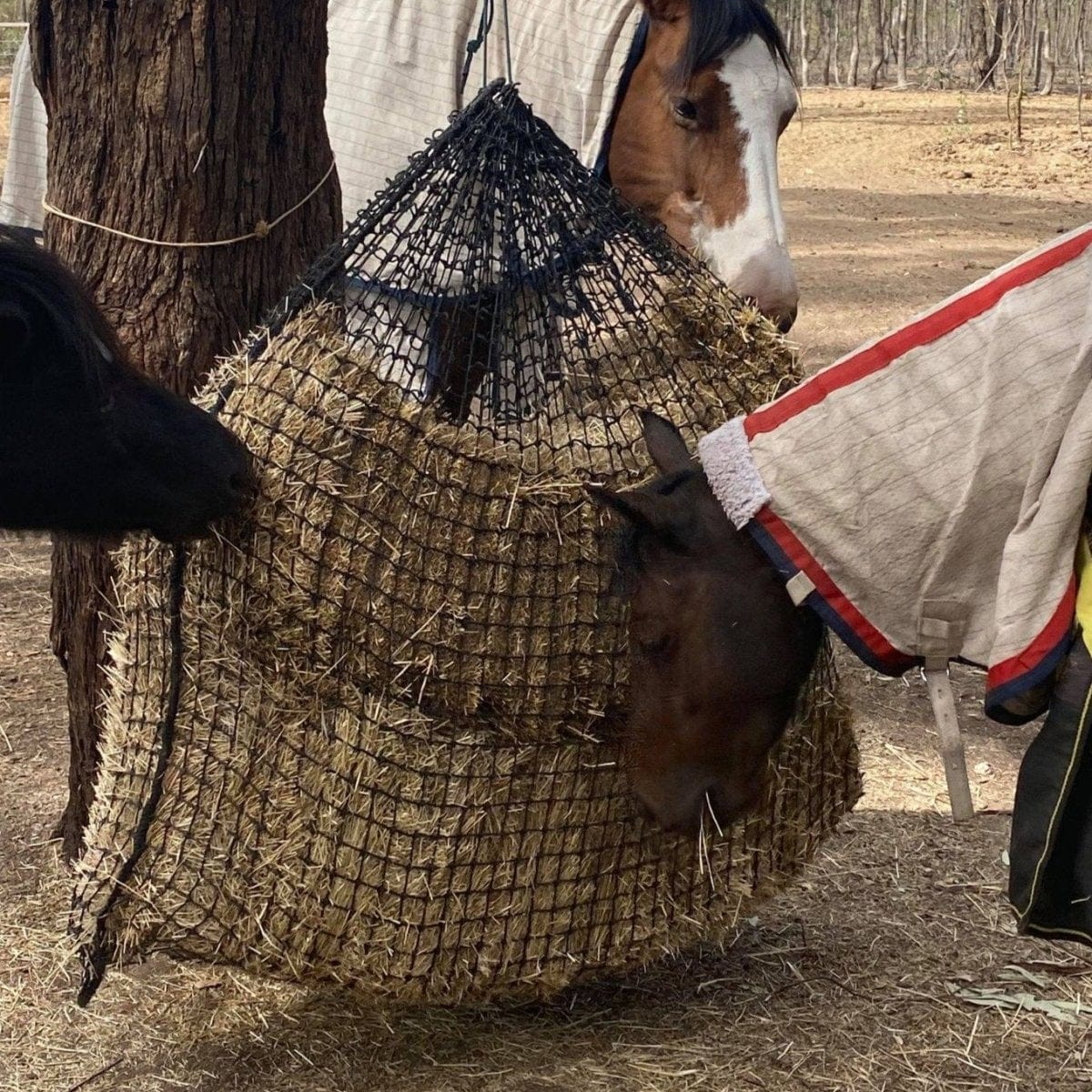 Extra Large Slow Feed Hay Net - Aussie Grazers
