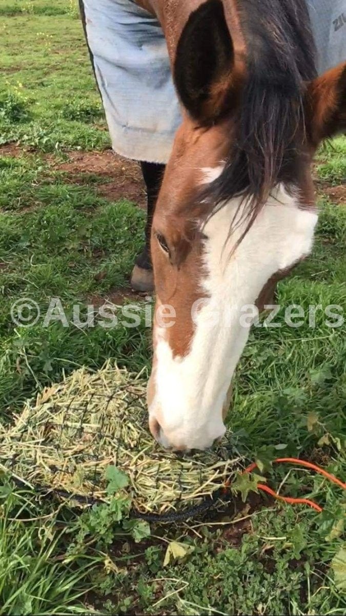 Extra Small Slow Feed Hay Net - Aussie Grazers