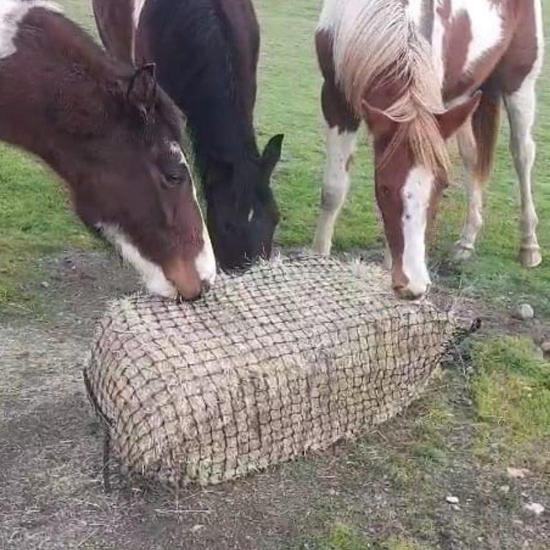 Large Slow Feed Hay Net - Aussie Grazers