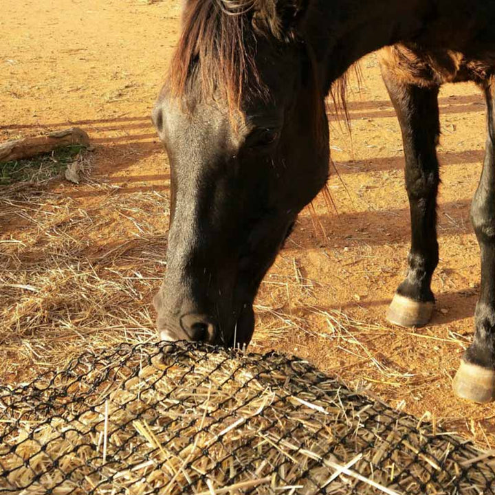 Aussie Grazers Hay Nets Large Original Knotted Horse Slow Feed Hay Net