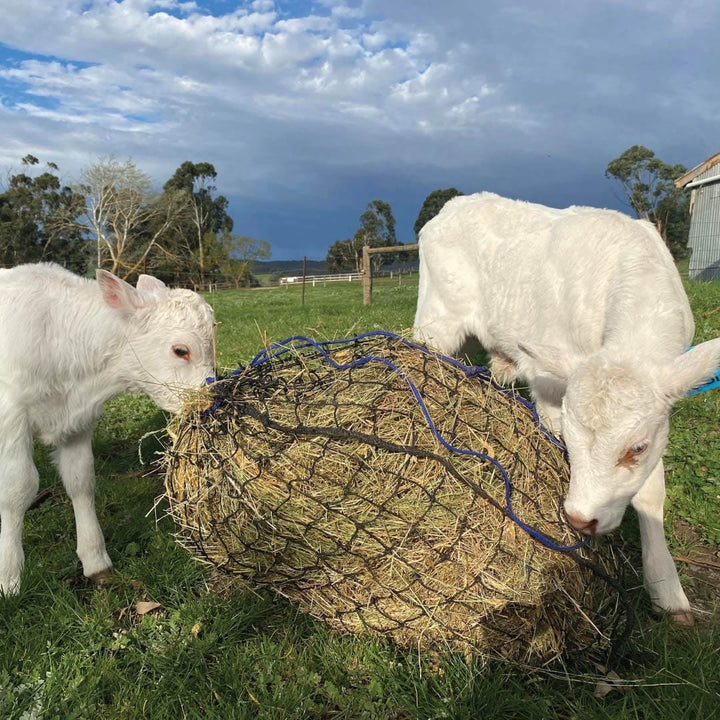 Aussie Grazers Hay Nets Large Original Knotted Horse Slow Feed Hay Net