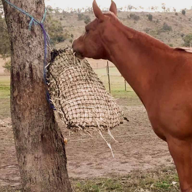 Aussie Grazers Hay Nets Original Knotted Medium Horse Slow Feed Hay Net