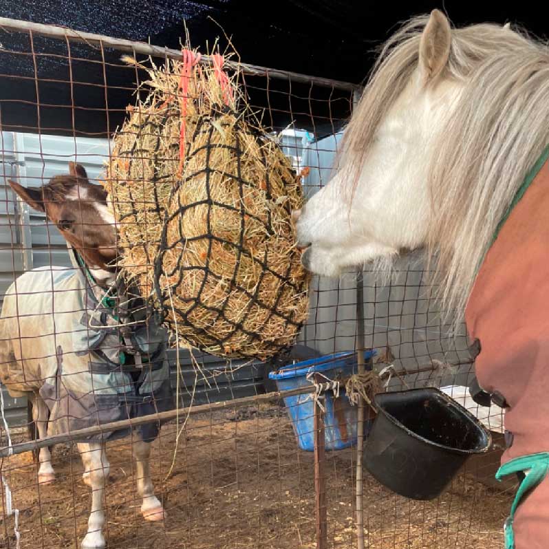 Deluxe Knotless Extra Small Slow Feed Hay Nets Aussie Grazers