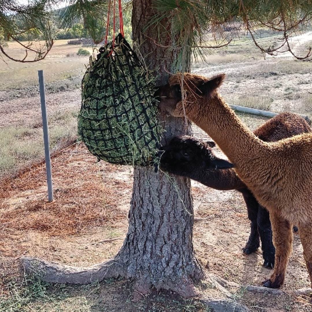 Aussie Grazers Knotless Hay Nets Deluxe Knotless Extra Small Horse Slow Feed Hay Net