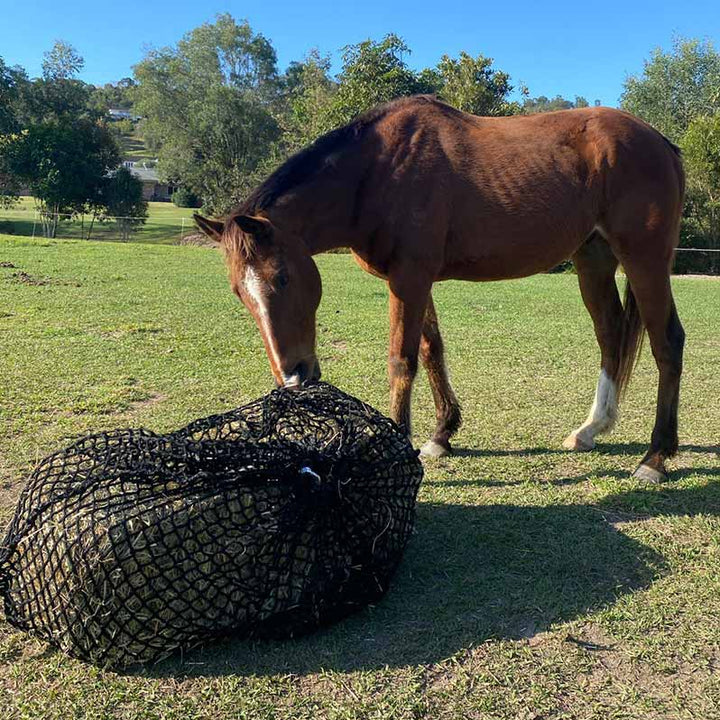 Aussie Grazers Knotless Hay Nets Deluxe Knotless Large Horse Slow Feed Hay Net