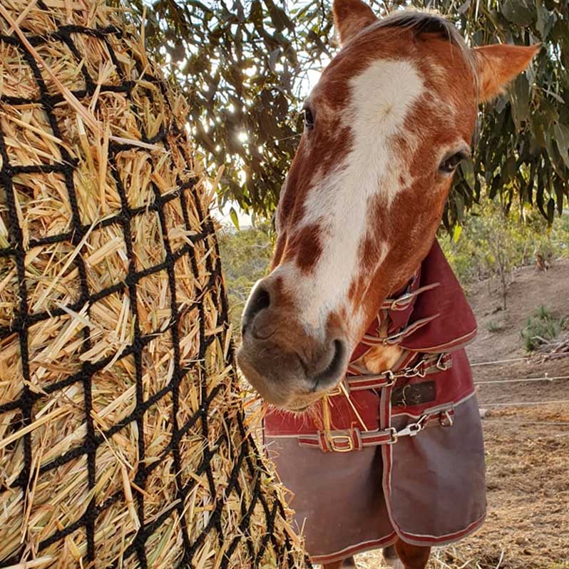 Aussie Grazers Knotless Hay Nets Deluxe Knotless Medium Horse Slow Feed Hay Net