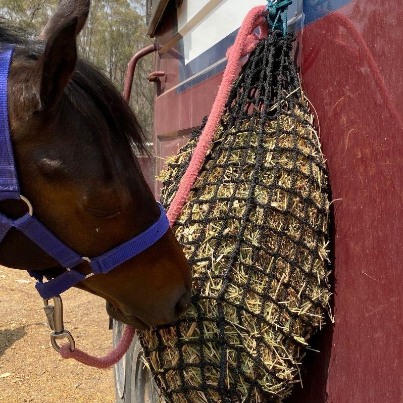 Deluxe Knotless Small Slow Feed Hay Net - Aussie Grazers