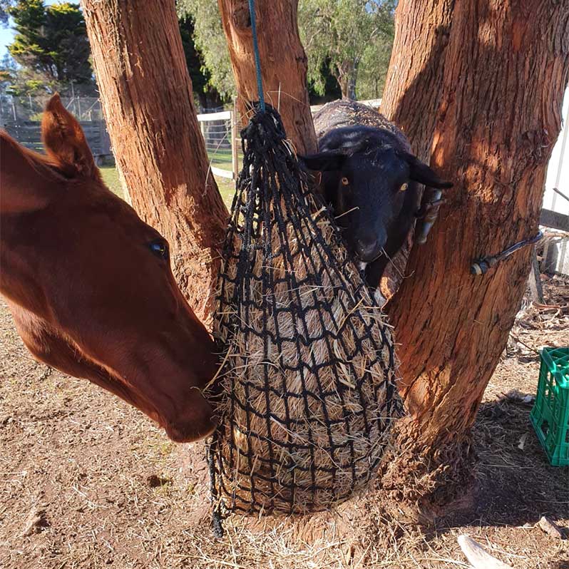 Aussie Grazers Knotless Hay Nets Deluxe Knotless Small Horse Slow Feed Hay Net