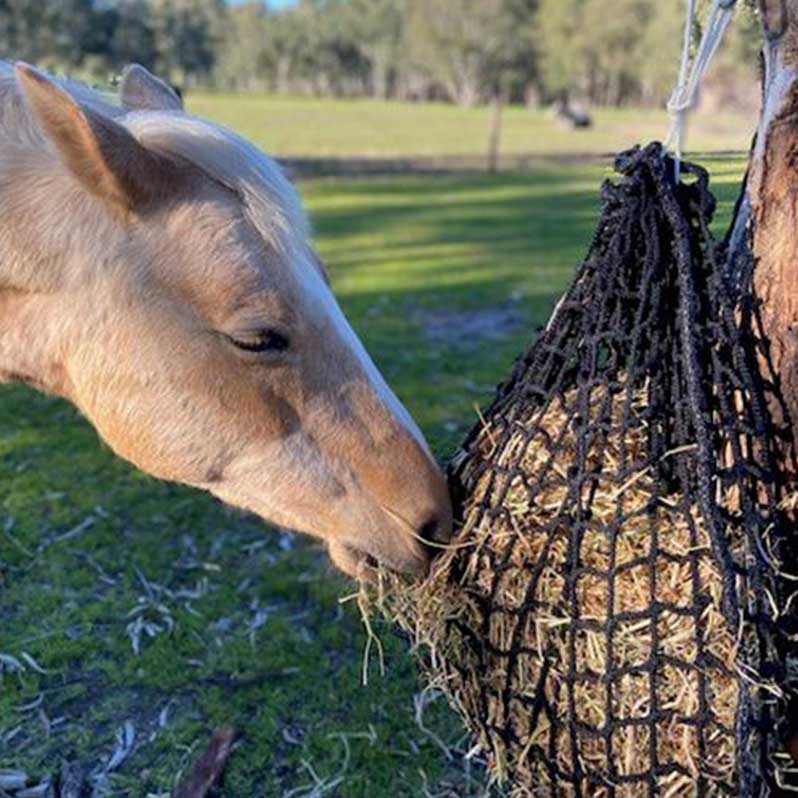 Hay Net Deluxe Knotless Small Horse Slow Feed Hay Net – Aussie Grazers