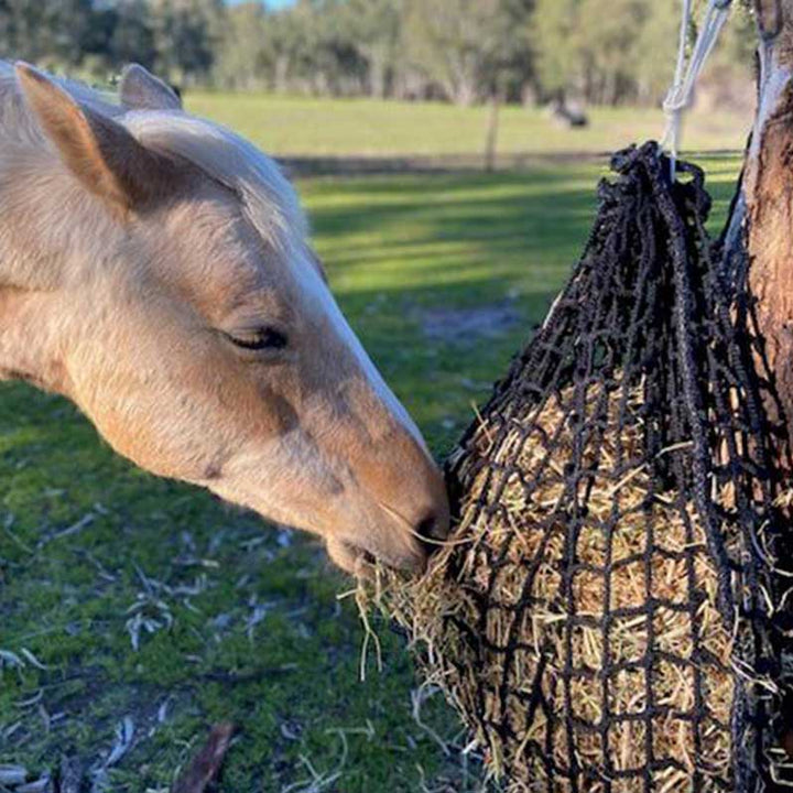 Aussie Grazers Knotless Hay Nets Deluxe Knotless Small Horse Slow Feed Hay Net