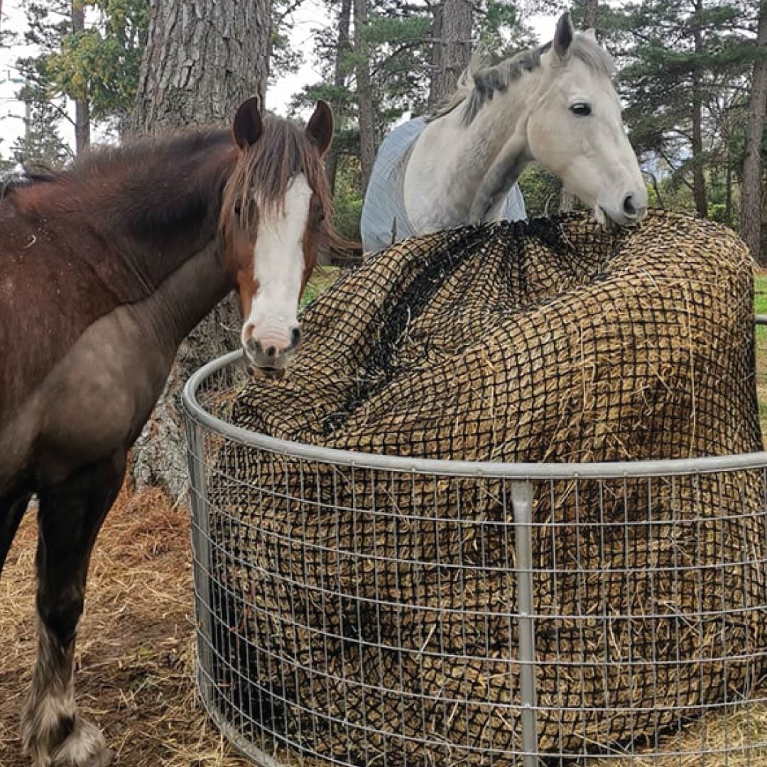 Aussie Grazers Round Bale Nets Deluxe Knotless 3x4 Round Bale Horse Slow Feeder Hay Net