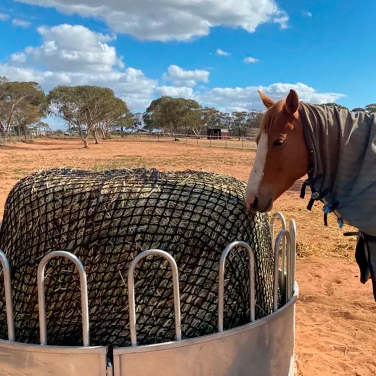 Aussie Grazers Round Bale Nets Deluxe Knotless 6x4 Round Bale Horse Slow Feeder Hay Net