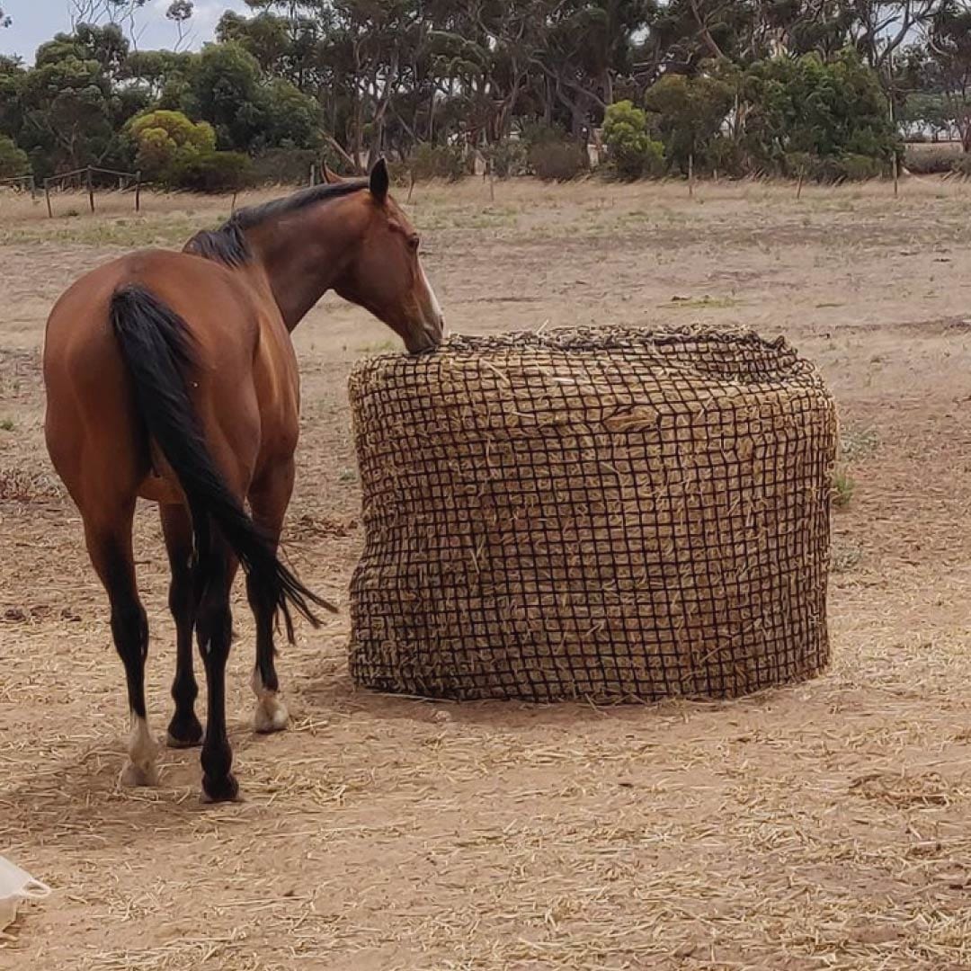 Deluxe Knotless Round Bale Horse Slow Feeder Hay Net Aussie Grazers