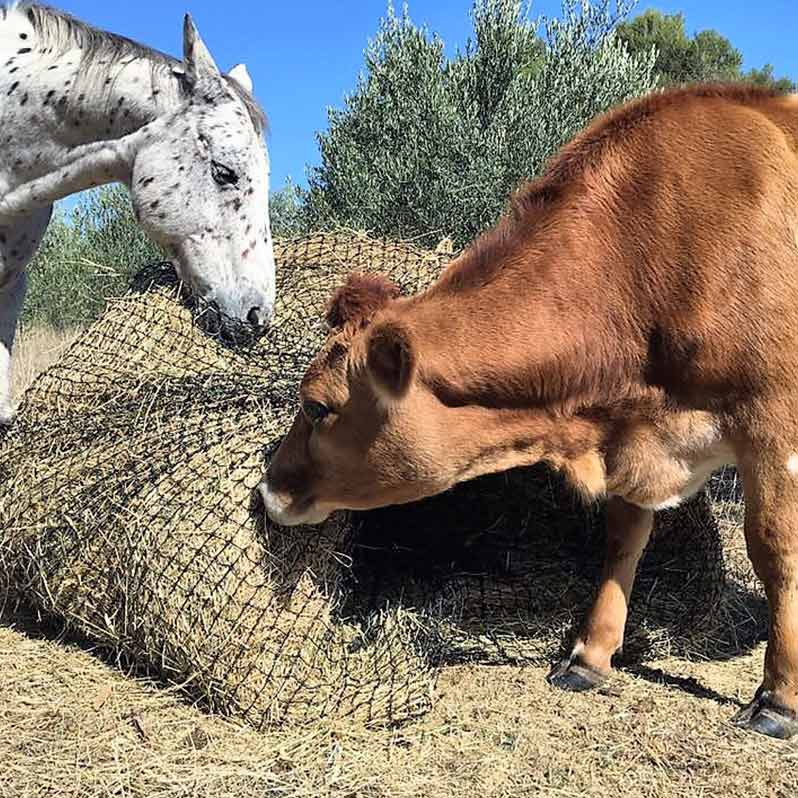 Aussie Grazers Round Bale Nets Original Knotted 4x4 Round Bale Horse Slow Feed Hay Net